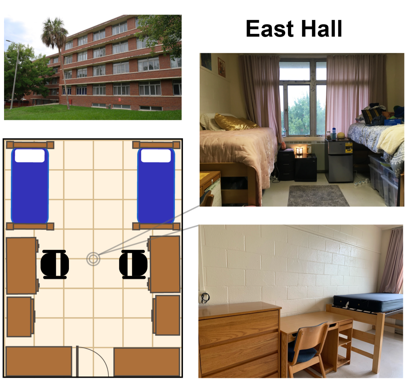 a-look-inside-uf-residence-halls