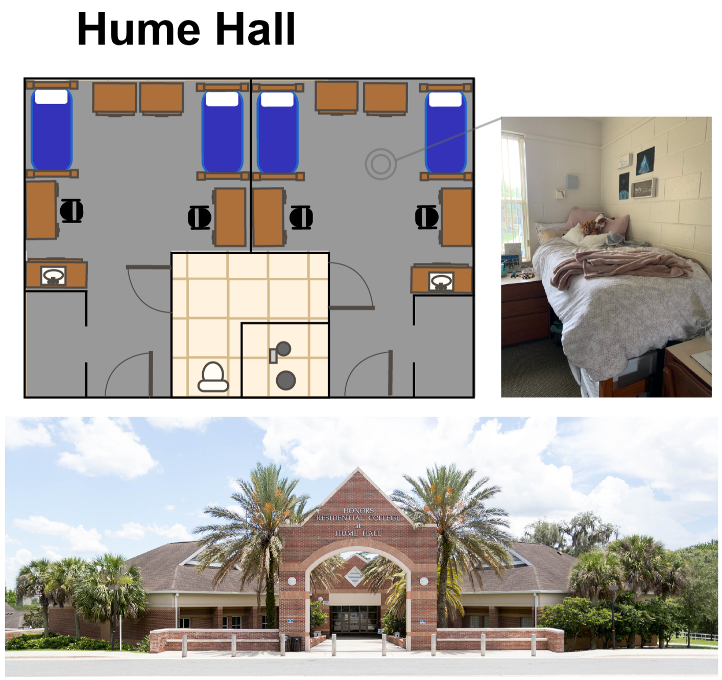 A look inside UF residence halls